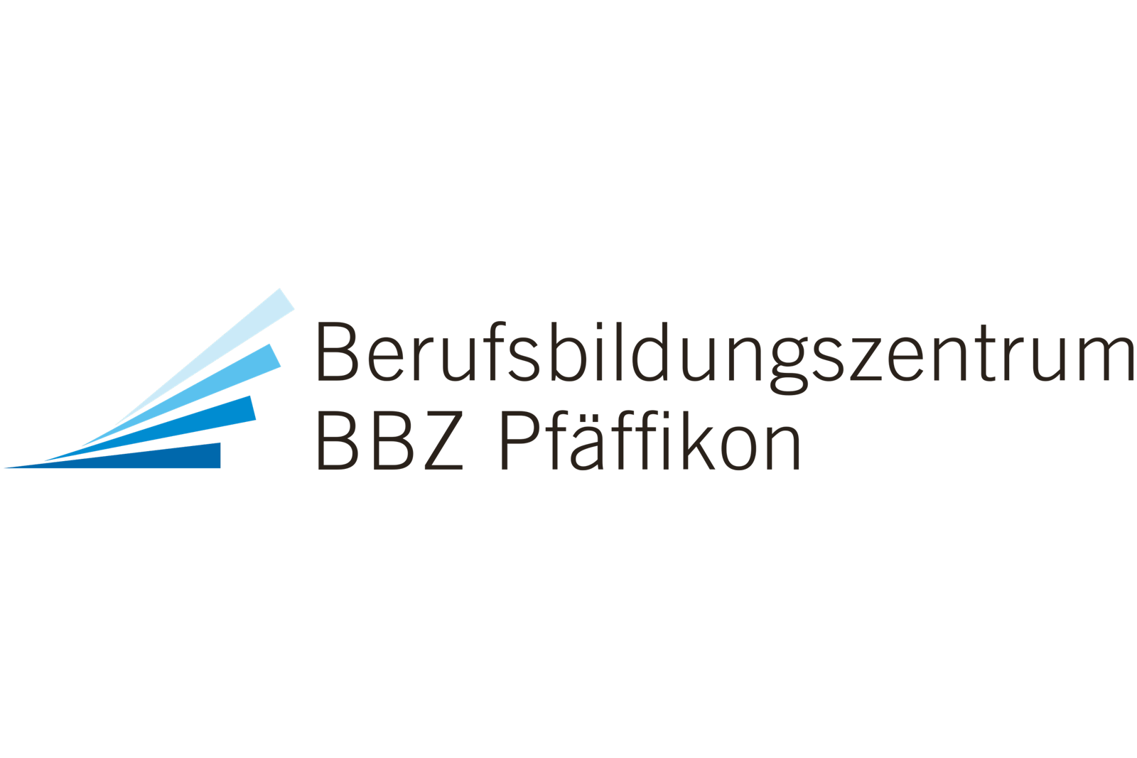 Logo del Centro di formazione professionale di Braunschweig Pfaffenkamp, con libri blu e bianchi che formano una linea ascendente.