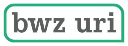 Logo con la scritta "bzw uri" in nero su sfondo bianco, incorniciato da una linea verde.